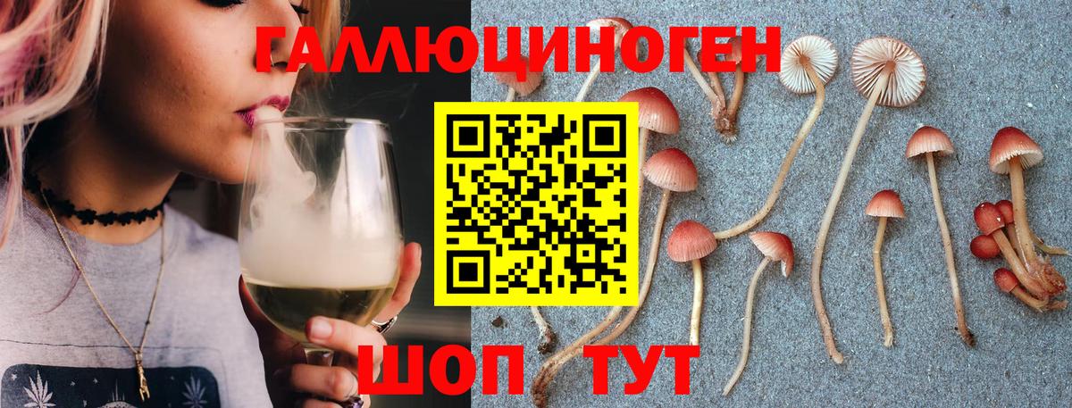 Галлюциногенные грибы Psilocybine cubensis Еманжелинск